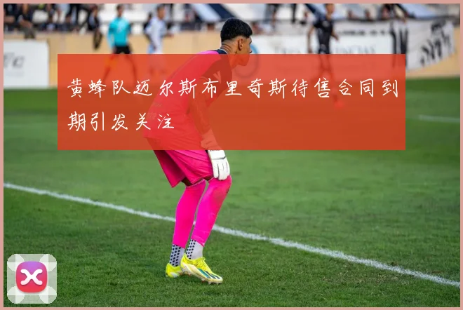 黄蜂队迈尔斯布里奇斯待售合同到期引发关注