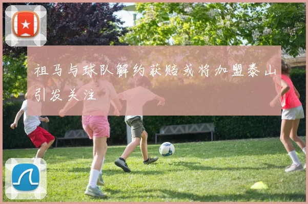 祖马与球队解约获赔或将加盟泰山引发关注