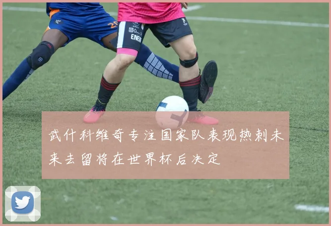 武什科维奇专注国家队表现热刺未来去留将在世界杯后决定